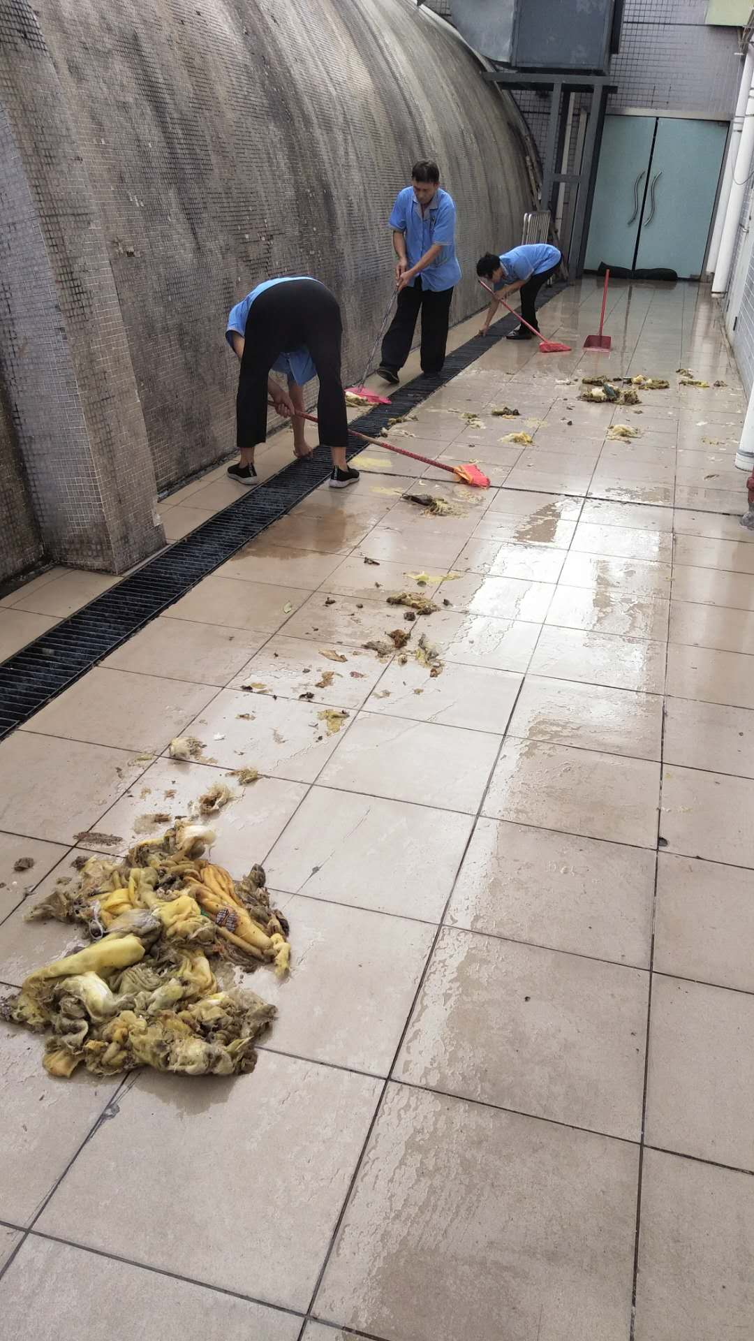 微信图片_20180919085857.jpg