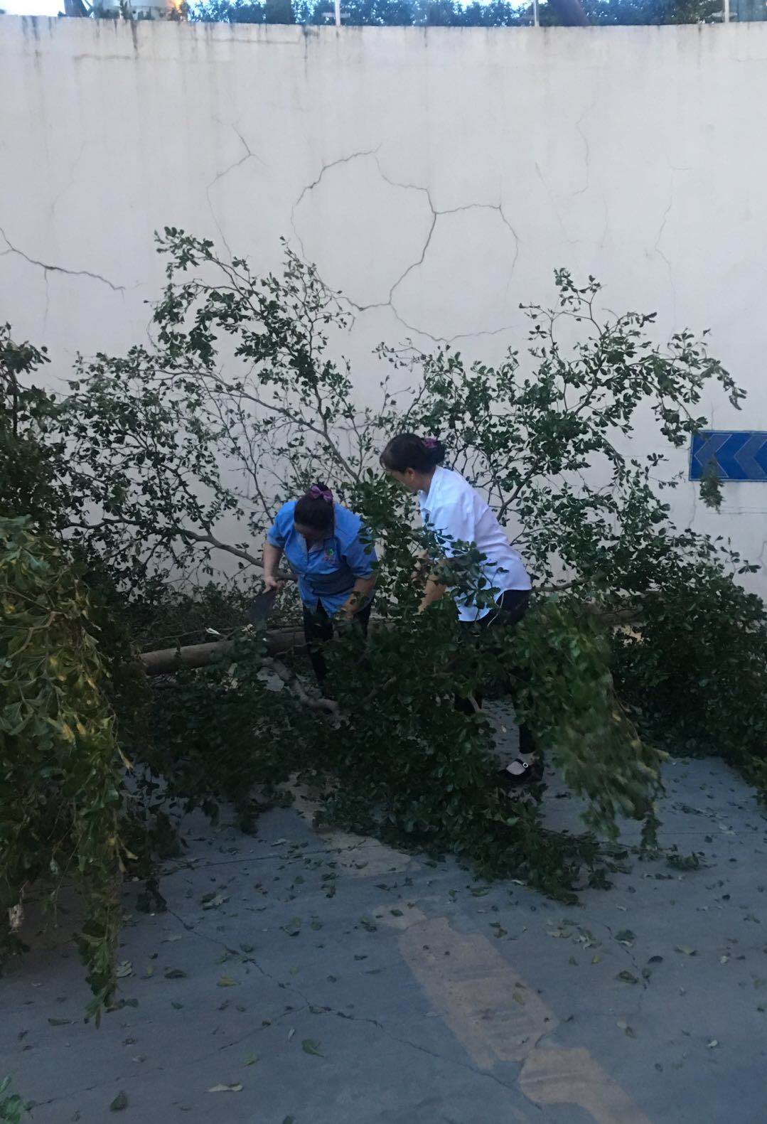 微信图片_20180919091308.jpg
