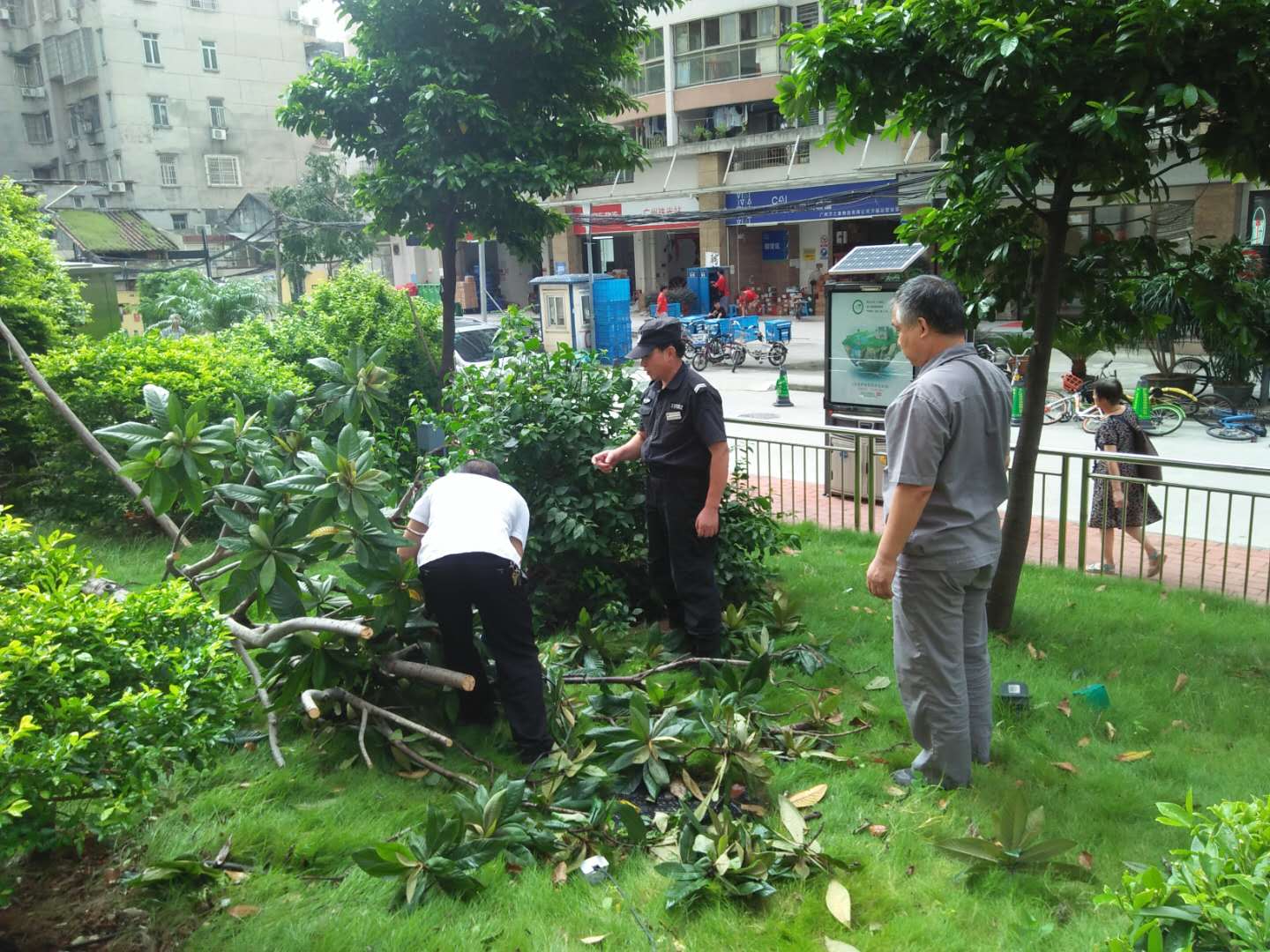 微信图片_20180919171827.jpg