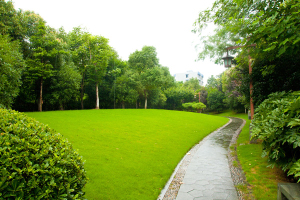 20121031153021.jpg