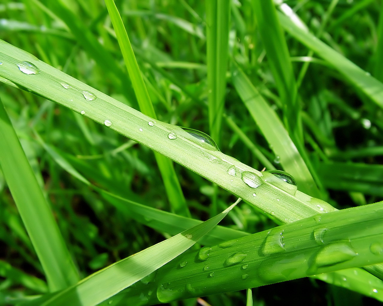4eabfcf7-5fff-4996-8661-74445db38a57.JPG